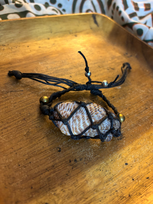 Beautiful Shell Hemp Bracelet